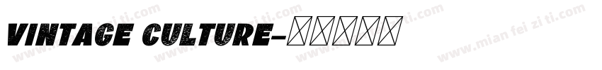 vintage culture字体转换